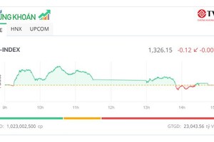 Thị trường rung lắc, tiền chảy mạnh vào cổ phiếu vừa và nhỏ