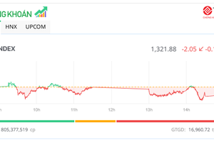 Mốc 1.320 điểm vẫn được bảo toàn, cổ phiếu HQC nổi sóng