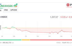 VN-Index về sát mốc 1.200 điểm, nhiều mã vừa và nhỏ vẫn dậy sóng