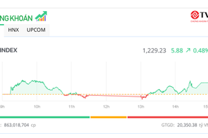 Thị trường phân hóa, nhiều mã vừa và nhỏ nổi sóng
