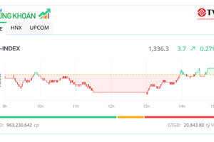 Cổ phiếu vừa và nhỏ tỏa sáng, thị trường đảo chiều thành công