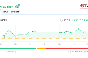 Ngày vui kéo dài, VN-Index tăng thêm hơn 12 điểm