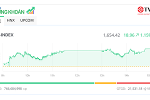 Sắc xanh lan tỏa, cổ phiếu vừa và nhỏ dậy sóng