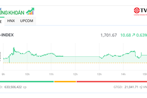 VN-Index vượt mốc 1.700 điểm, nhiều cổ phiếu nhỏ nổi sóng