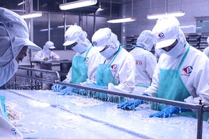 Thủy sản Cà Mau (CAT) chia cổ tức 15% bằng tiền và phát hành hơn 4,6 triệu cổ phiếu giá 10.000 đồng/CP 