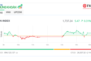 Sắc xanh lan tỏa, VN-Index tăng phiên thứ bảy liên tiếp