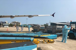 Vietnam Airlines tái khởi động chặng bay quốc tế