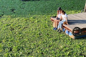 Vùng xanh Khu du lịch Rừng tràm Trà Sư sẵn sàng cho ngày trở lại