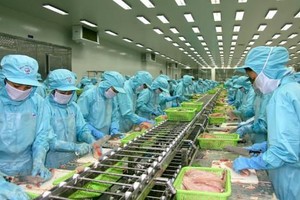 IDI ước lãi 80 tỷ đồng lợi nhuận sau thuế trong quý 4/2021