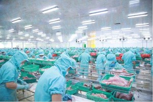 IDI góp phần đưa kim ngạch xuất khẩu thủy sản tăng trưởng hai con số.