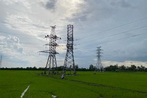 Đường dây 110Kv hai mạch Tịnh Biên – Châu Đốc (An Giang) đã đấu nối thành công vào hệ thống lưới điện quốc gia.