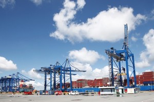 Năm 2023, công ty đặt kế hoạch chia cổ tức với tỷ lệ 22,71%, tổng số tiền dành cho chia cổ tức dự kiến là 68,5 tỷ đồng.