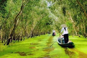 Điểm du lịch sinh thái Trà Sư thu hút đông đảo du khách.