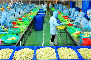 Vật tư kỹ thuật nông nghiệp Cần Thơ (TSC): Lợi nhuận sau thuế quý III giảm 62%