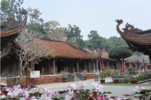 Lam Kinh chào xuân