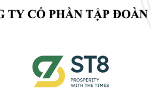 ST8: Lợi nhuận 6 tháng đầu năm chỉ đạt 20% kế hoạch năm