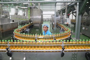 Điều gì khiến hàng triệu người tin dùng Trà Xanh Không Độ?