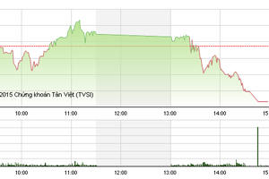 Phiên giao dịch chiều 29/7: FIT bất ngờ thăng hoa