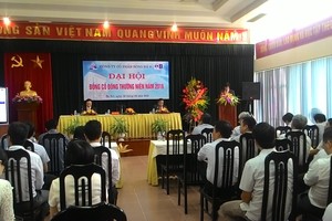 ĐHCĐ SD9: Ông Trần Thế Quang được giới thiệu làm Tổng giám đốc