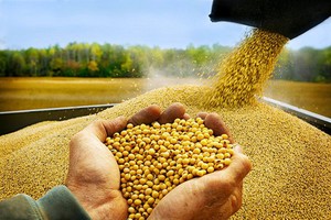 Tuần qua, nhiều loại hàng hóa tăng