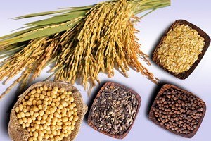 Thị trường hàng hóa tuần 29/4 -3/5: Diễn biến trái chiều