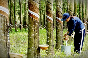 Thị trường hàng hóa tuần 6 - 10/5: Lại nóng căng thẳng Mỹ - Trung