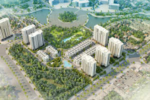 Kinh doanh bết bát, cổ phiếu PFL vẫn tăng phi mã