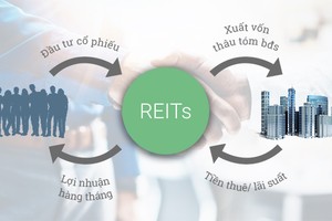 Cần sớm đẩy mạnh phát triển trở lại quỹ đầu tư bất động sản