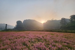 "Đẹp quên lối về" giữa miền di sản Tây Bắc – Đông Bắc