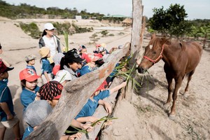 Thiếu định hình, mô hình bất động sản du lịch nông nghiệp khó phát triển
