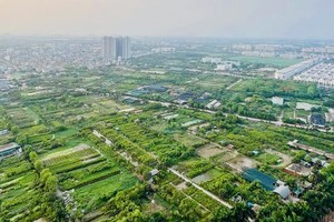 Đề xuất gia hạn thời hạn nộp thuế và tiền thuê đất năm 2025