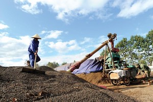 Ngành hàng nông sản xuất siêu 7 tỷ USD, vẫn... kém vui