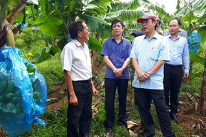 Quảng Trị: Chủ tịch huyện bị điều chuyển do “chưa thực sự đồng hành”, tháo gỡ khó khăn cho DN