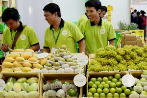 Trái cây Việt Nam tìm cơ hội mở rộng kênh xuất khẩu