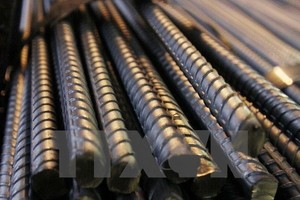 Ảnh minh họa. (Nguồn: TTXVN)