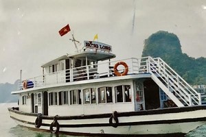 Tàu Hồng Long bị đình chỉ hoạt động 30 ngày.