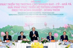 Thủ tướng Nguyễn Xuân Phúc dự Diễn đàn Phát triển thị trường cho ngành rau, củ, quả và giải pháp phát triển hệ thống logistics phục vụ nông nghiệp, nông thôn