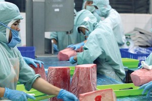 Xuất khẩu ước đạt trên 213 tỷ USD trong năm 2017, trong đó xuất khẩu nông, lâm, thủy sản hơn 36 tỷ USD, cho thấy nền kinh tế Việt Nam đang dần trở thành một phần quan trọng trong chuỗi giá trị toàn cầu.