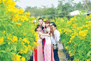 Đà Lạt là một trong những điểm hút khách dịp Tết. Ảnh minh hoạ: Vietffuntravel