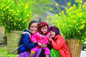 Lên Tây Bắc ngắm hoa xuân nở khắp núi rừng