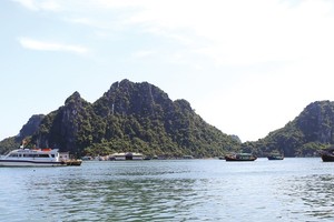 Với lợi thế vượt trội, đặc biệt nằm ven biển, huyện Vân Đồn (Quảng Ninh) được quy hoạch là một trong ba đặc khu của cả nước. Ảnh: Đức Thanh