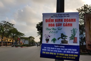 Mặt bằng bán hàng Tết: Thuê 10 m2 phải trả 20 triệu đồng