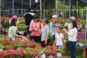 Làng hoa Sa Đéc đông khách những ngày cận Tết