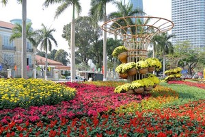 Đà Nẵng: Đường hoa “Xuân sắc màu” và 3 điểm bắn pháo hoa phục vụ Tết