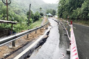 Dự án Nâng cấp Quốc lộ 217 bị kéo dài tiến độ do thời gian đánh giá hồ sơ dự thầu chậm so với quy định.