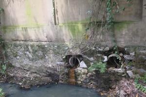 (Ảnh minh họa: Mạnh Minh/TTXVN)