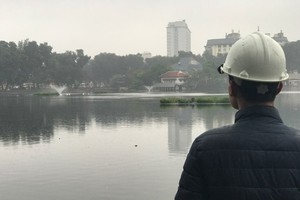 Các công nhân thay phiên nhau ngày đêm trông 12 con chim thiên nga, kể cả trong những ngày Tết Nguyên đán. (Ảnh: Trần Thanh).