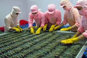 Theo Thương vụ Việt Nam tại Úc, hàng thủy sản, trong đó có con tôm đang rất có tiềm năng xuất sang thị trường Úc vì 70% nhu cầu tại thị trường này đang phụ thuộc vào nguồn nhập khẩu.