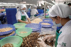 CPTPP tạo cơ hội mới để doanh nghiệp Việt Nam tăng nhanh kim ngạch xuất khẩu nông sản, thực phẩm sang các nước thành viên. Ảnh: Lê Toàn