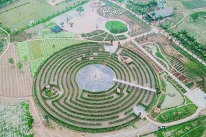 Mê cung bằng cây rộng 10.000 m2 ở ngoại thành Hà Nội